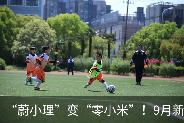 “蔚小理”变“零小米”！9月新势力大洗牌