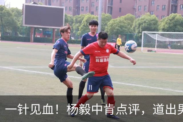 一针见血！杨毅中肯点评，道出男篮输球的主要原因
