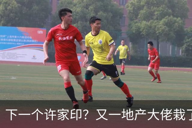 下一个许家印？又一地产大佬栽了，涉案超200亿 已被正式立案调查