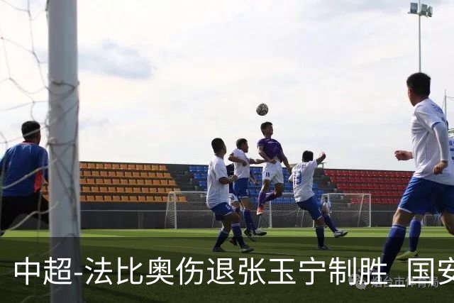中超-法比奥伤退张玉宁制胜 国安1-0西海岸14轮不败