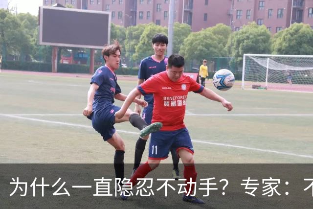 为什么一直隐忍不动手？专家：不是不敢，而是一打就停不下来了！