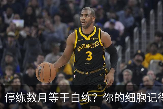 停练数月等于白练？你的细胞记得每一次流汗