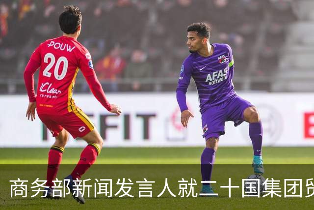 商务部新闻发言人就二十国集团贸易部长会议及相关情况答记者问