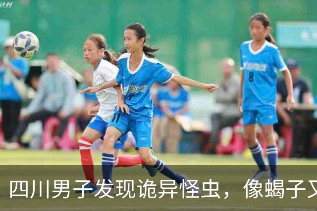 四川男子发现诡异怪虫，像蝎子又像蜘蛛！网友：20年没见过了！