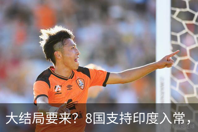 大结局要来？8国支持印度入常，中方没有阻拦，苏杰生拿到承诺书？