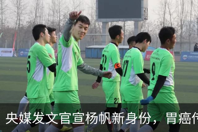 央媒发文官宣杨帆新身份，胃癌传闻尘埃落定，大众终于看清真相