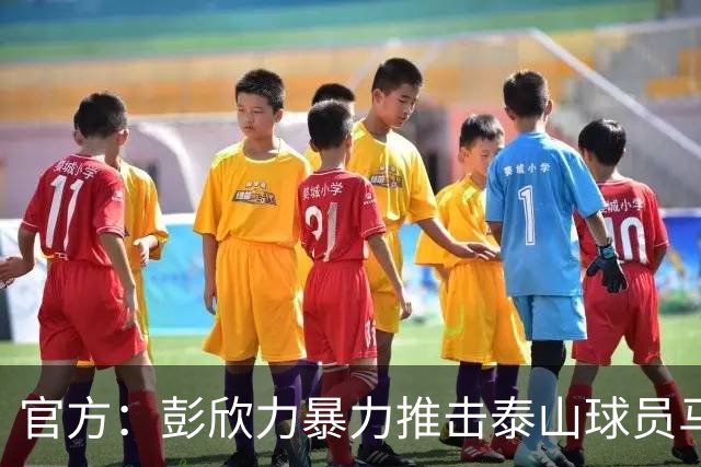 官方：彭欣力暴力推击泰山球员马德鲁加 停赛4场罚款4万