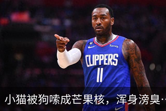 小猫被狗嗦成芒果核，浑身滂臭…猫：想舔毛都下不去嘴啊啊
