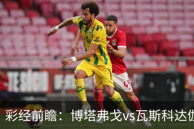 彩经前瞻：博塔弗戈vs瓦斯科达伽马，看好客队不败