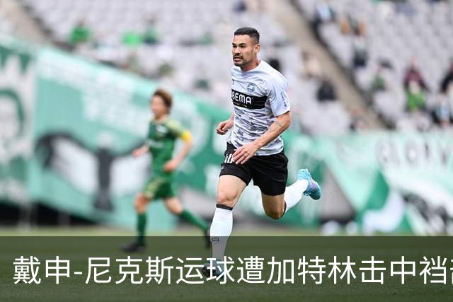 戴申-尼克斯运球遭加特林击中裆部，裁判回看后吹罚破坏性犯规