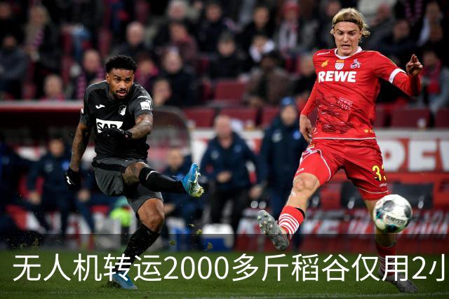 无人机转运2000多斤稻谷仅用2小时，成本却要1500元，怎么算？