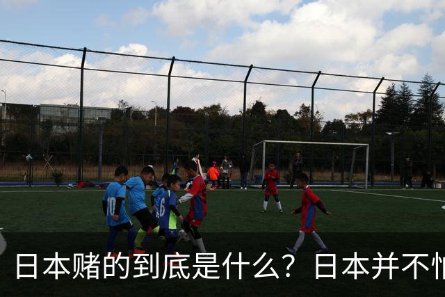 日本赌的到底是什么？日本并不怕中国制裁，也不怕经济下滑、航班取消；它压根不是在赌，而是早已把最坏的结果都盘算了一遍