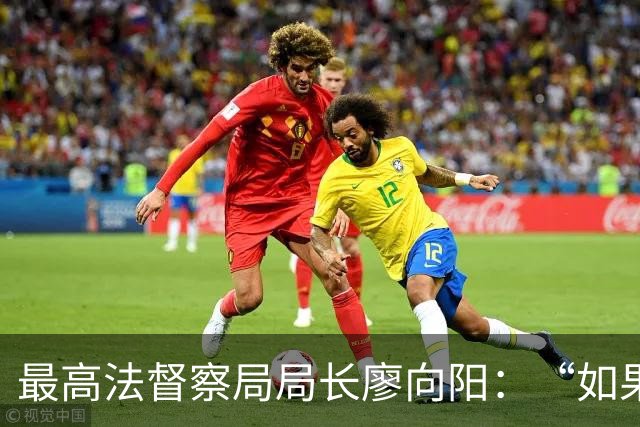 最高法督察局局长廖向阳：“如果发现人民法院司法人员存在违反审判职责的问题，可以向相关人民法院督察部门进行投诉举报”
