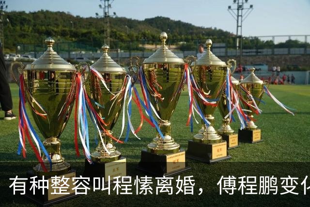 有种整容叫程愫离婚，傅程鹏变化不大，她因儿子像变了个人