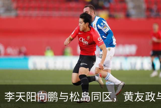 李天阳向鹏与松岛同区，黄友政与张本同区；蒯曼与桥本同区