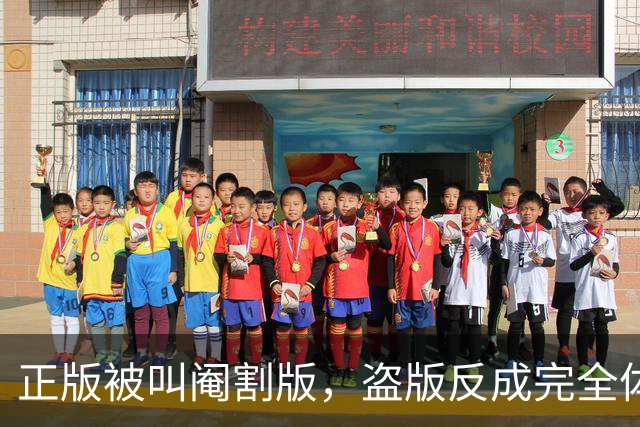 正版被叫阉割版，盗版反成完全体：这老六把搬运做成了持续运营