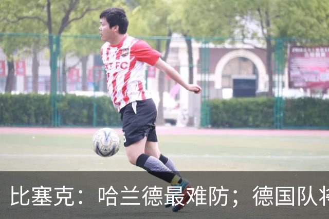比塞克：哈兰德最难防；德国队将会重返世界顶级