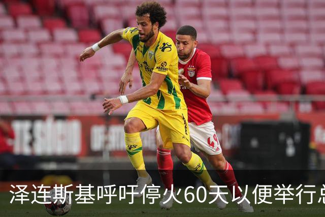 泽连斯基呼吁停火60天以便举行总统选举，克宫：停战1天以便乌克兰举行选举