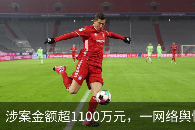 涉案金额超1100万元，一网络舆情敲诈团伙被上海警方捣毁