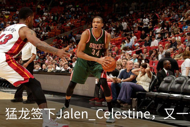 猛龙签下Jalen Celestine，又一个训练营邀请型球员