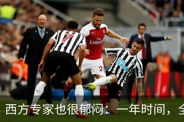 西方专家也很郁闷：一年时间，全世界已经开始看不懂中国了！