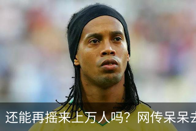 还能再摇来上万人吗？网传呆呆去年赚400万，今年在田里搭桌备宴，评论区一句话太扎心