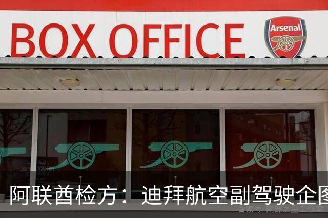 阿联酋检方：迪拜航空副驾驶企图驾机实施自杀式袭击