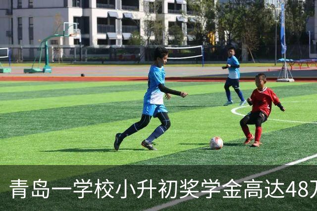 青岛一学校小升初奖学金高达48万？校方及当地教育局回应