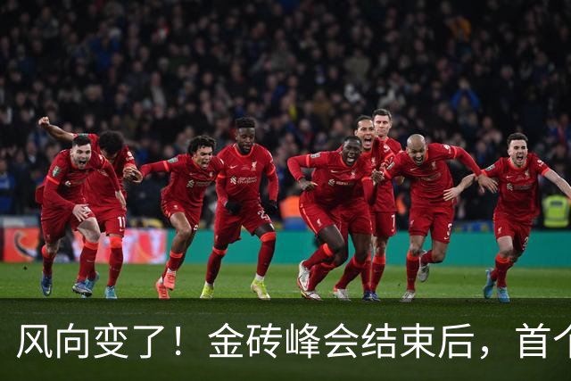风向变了！金砖峰会结束后，首个想加入的发达国家出现？已在铺路
