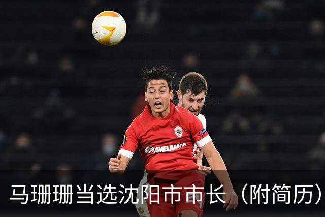 马珊珊当选沈阳市市长（附简历）