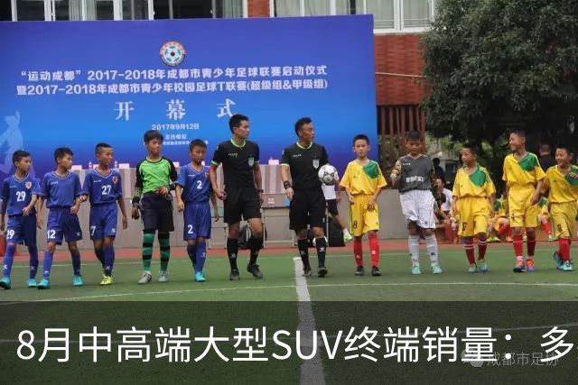 8月中高端大型SUV终端销量：多款车型下滑 雷克萨斯LX售出190辆